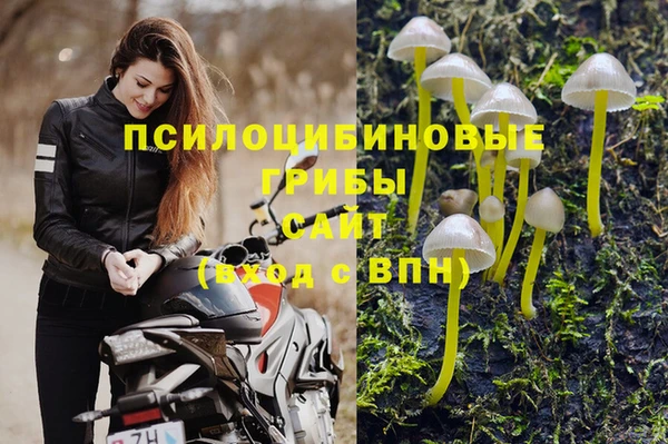 ECSTASY Абдулино