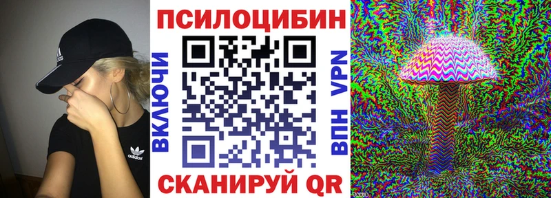 Галлюциногенные грибы Psilocybe Карачев